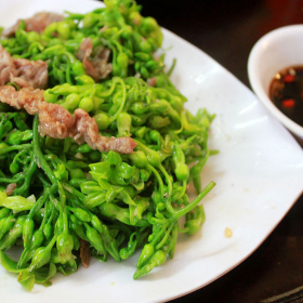 Đà điểu né bông bí