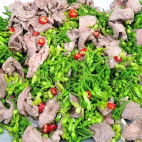 Đà điểu né bông lý 