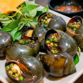 Khai vị 2 món : Ốc bươu + nem nướng 