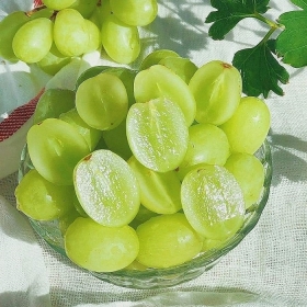 Nho xanh không hạt